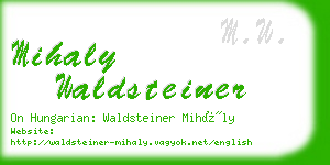 mihaly waldsteiner business card